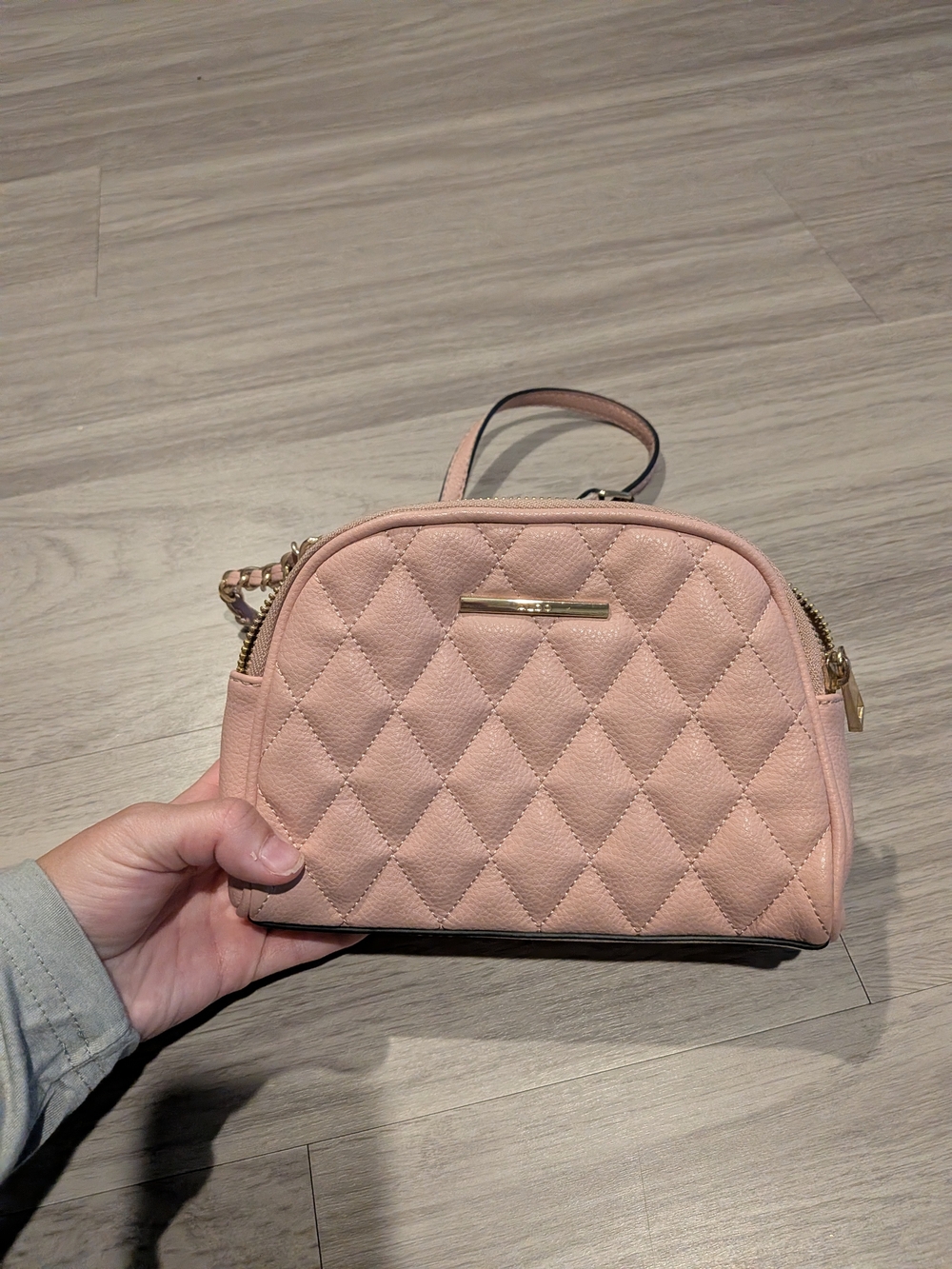 ALDO Handbag
